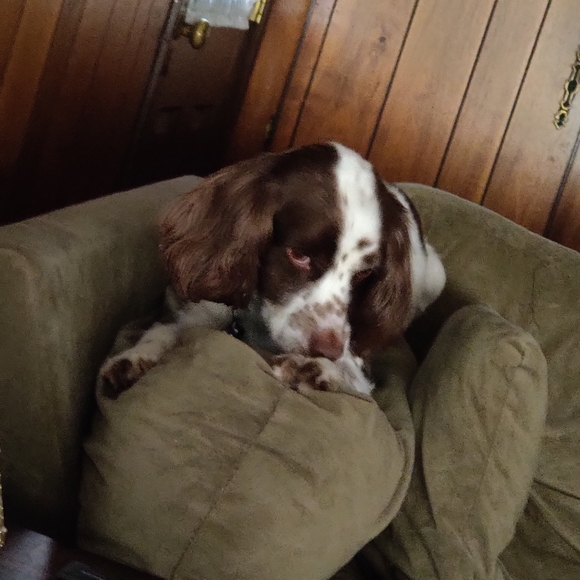 Meet your Posher, Stavros - Picture 2 of 3